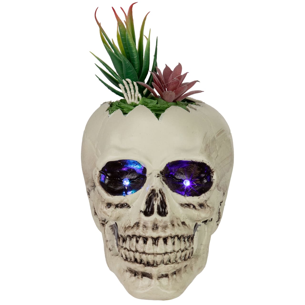 9" LED Lighted Succulent Halloween Skull Planter